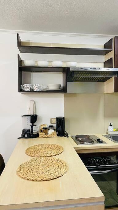 Apartamento Departamento En Centro Santiago de Chile